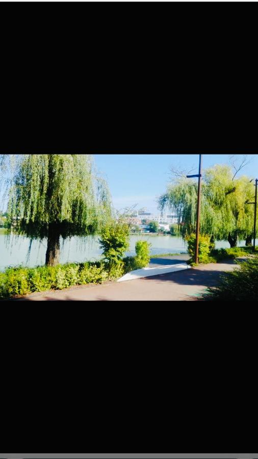 By The Lake Apartment Cluj-Napoca Esterno foto